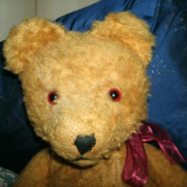 Teddy Bears Forever